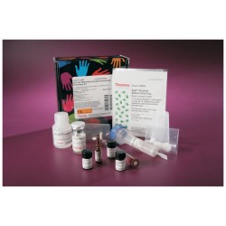 Thermo Scientific™ Pierce™ Maleimide-Activated HRP Conjugation Kit