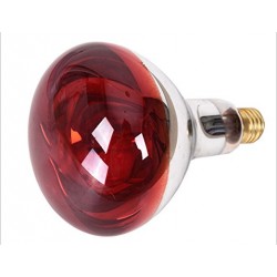 Health Care Infrared Lamp Bulb Accessory 110V Or 220V For Elitzia Infrared Physiotherapy Heating Lamp Elitzia ETH310 (Transparent and red 110V)